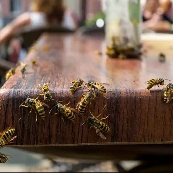 article_5505_featured