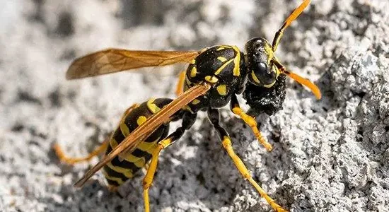 article_23838_featured_1773383879