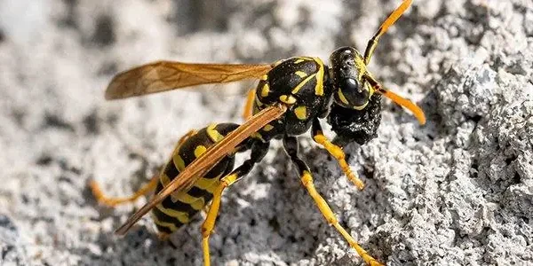 article_23838_featured_1773383879